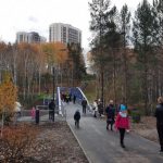 Современный парк из заброшенного оврага сделали в Кольцово