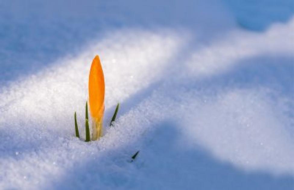 В Новосибирске заканчиваются весенние морозы: прогноз погоды на 14-21 марта