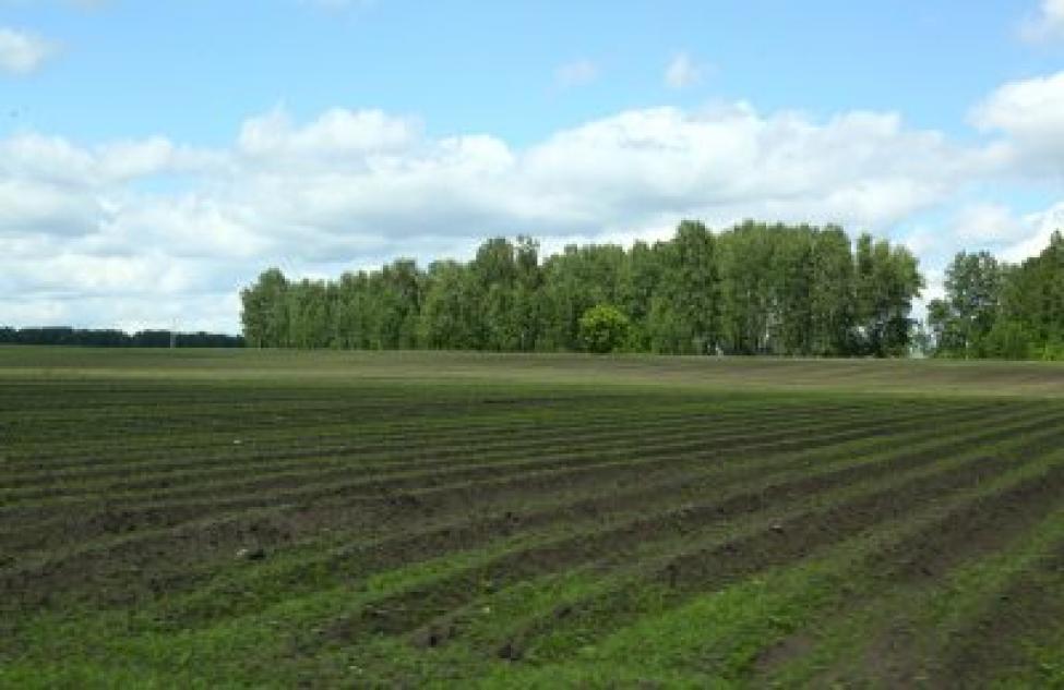 Технику для аграриев закупили на 3,4 миллиарда в Новосибирской области