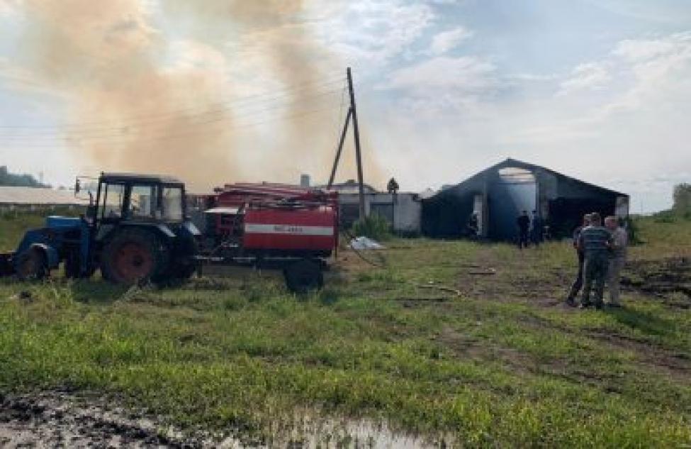Пожар на животноводческой ферме потушили в Чановском районе
