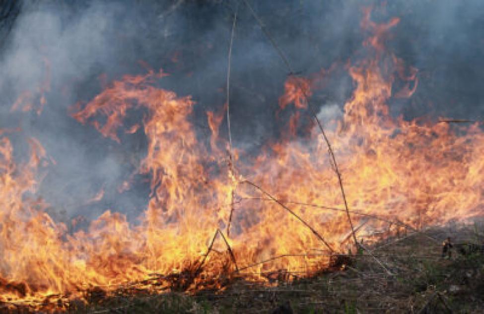 Районы с природными пожарами назвали в новосибирском МЧС