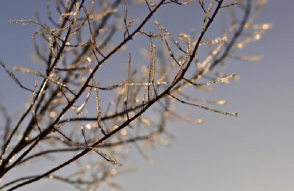 Похолодание и грозы ожидаются на этой неделе в Новосибирской области