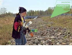 Кыштовский район участвует в акции по уборке мусора на берегах водных объектов
