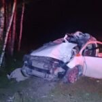 Автомобиль столкнулся с лосём в Новосибирском районе