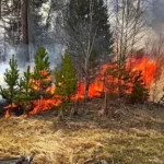 Новосибирской области удалось сократить количество возгораний в десятки раз