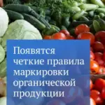 На органических продуктах появятся чёткие маркировки