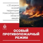 Напоминаем в Новосибирской области продолжает действовать особый противопожарный режим