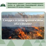 Минприроды НСО информирует: ликвидация возгораний в регионе в течение суток составляет 100 %