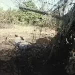 «Победа будет за нами! Успей присоединиться к СВОим!»