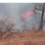 В борьбе с лесными пожарами в Забайкальском крае были задействованы 20 пожарных-десантников из Новосибирской области