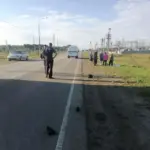 Прокуратура контролирует ход и результаты проверки ДТП