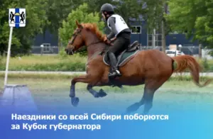 Наездники со всей Сибири поборются за Кубок губернатора