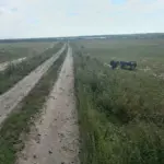 В Сузунском районе в ДТП попал водитель мотоблока