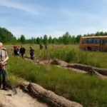 В регионе площадь лесовосстановления ежегодно превышает площади вырубленных и погибших насаждений