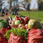 Синоптики сделали прогноз на первую декаду сентября в Новосибирской области