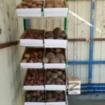 Уникальная акция стартовала в Кыштовском краеведческом музее