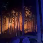 Сегодня ночью произошло возгорание в Новосибирском зоопарке имени Р.А. Шило