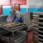 Рыбохозяйственная деятельность региона активно развивается