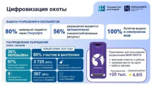 Новосибирская область занимает четвертое место среди регионов в рейтинге цифровой трансформации