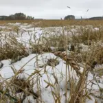 Всех православных христиан поздравляем с Покровом Пресвятой Богородицы!