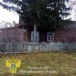 Кыштовские энергетики незаконно отключили дом в Заливино