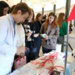 Индивидуальные карьерные маршруты для молодёжи Новосибирска