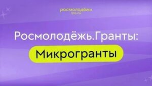 Молодежь может получить грант до 300 тысяч рублей на реализацию своего проекта