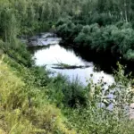 Экскурсии выходного дня в Кыштовском районе: любителям активного отдыха и краеведения