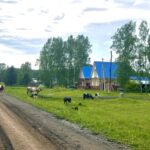 На совещании у главы района обсудили ключевые вопросы жизни муниципалитета