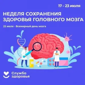Сохраняем когнитивный потенциал: ключевые правила заботы о мозге