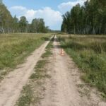 О ДТП с участием несовершеннолетних на территории Кыштовского района сообщает ГИБДД