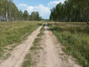 О ДТП с участием несовершеннолетних на территории Кыштовского района сообщает ГИБДД