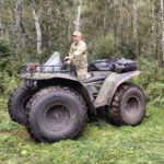 В регионе усилено патрулирование лесов из-за с активности медведей