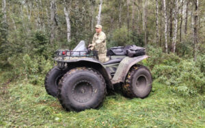 В регионе усилено патрулирование лесов из-за активности медведей