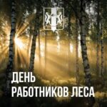 Андрей Травников поздравил жителей региона с Днем работников леса