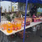 Сегодня проходит универсальная осенняя ярмарка