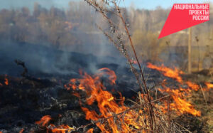 В Новосибирской области официально закрыт пожароопасный сезон