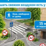 Зона, свободная от дыма: в Новосибирской области расширен список мест для некурящих