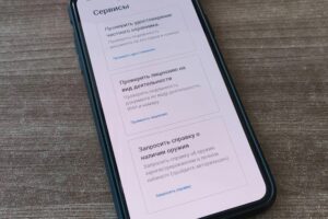 Новосибирцы могут получить справку о наличии или отсутствии оружия дистанционно